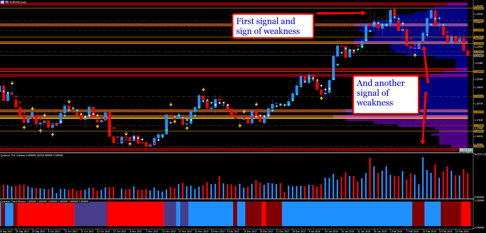 EUR/USD daily chart