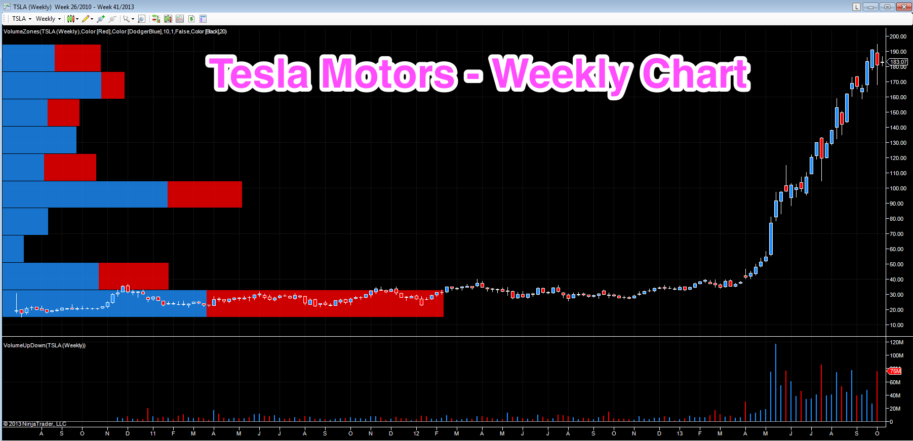 Tesla stock keeps his spirit alive | Anna Coulling