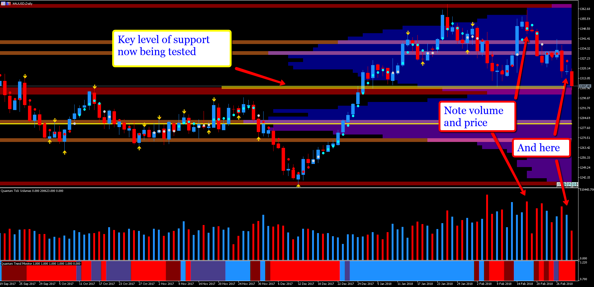 Mt5 Charts