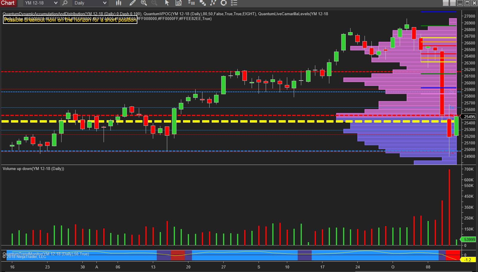 YM emini daily chart anna coulling